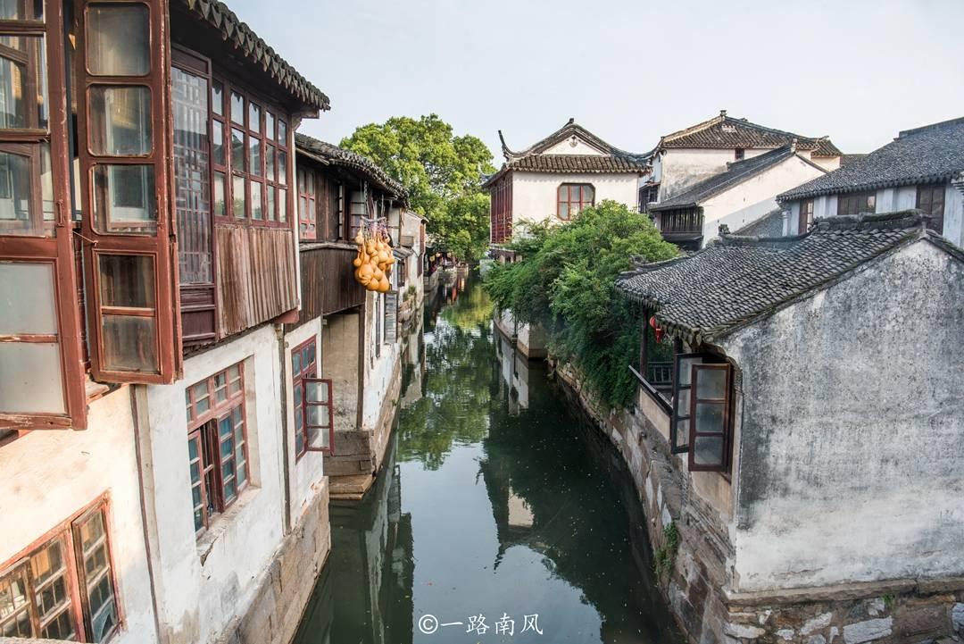 世界上谁的智商最高游戏画面